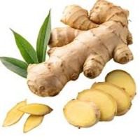 زنجبيل حصى كامل (Whole Ginger Rhizomes)