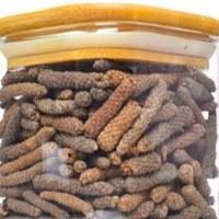 عرق الدهب / Long Pepper (Piper Longum)