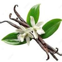 Imported And Exported Product