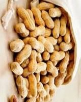 فول سوداني كامل (Arachis hypogaea)